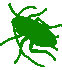 hornets