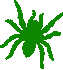 spider