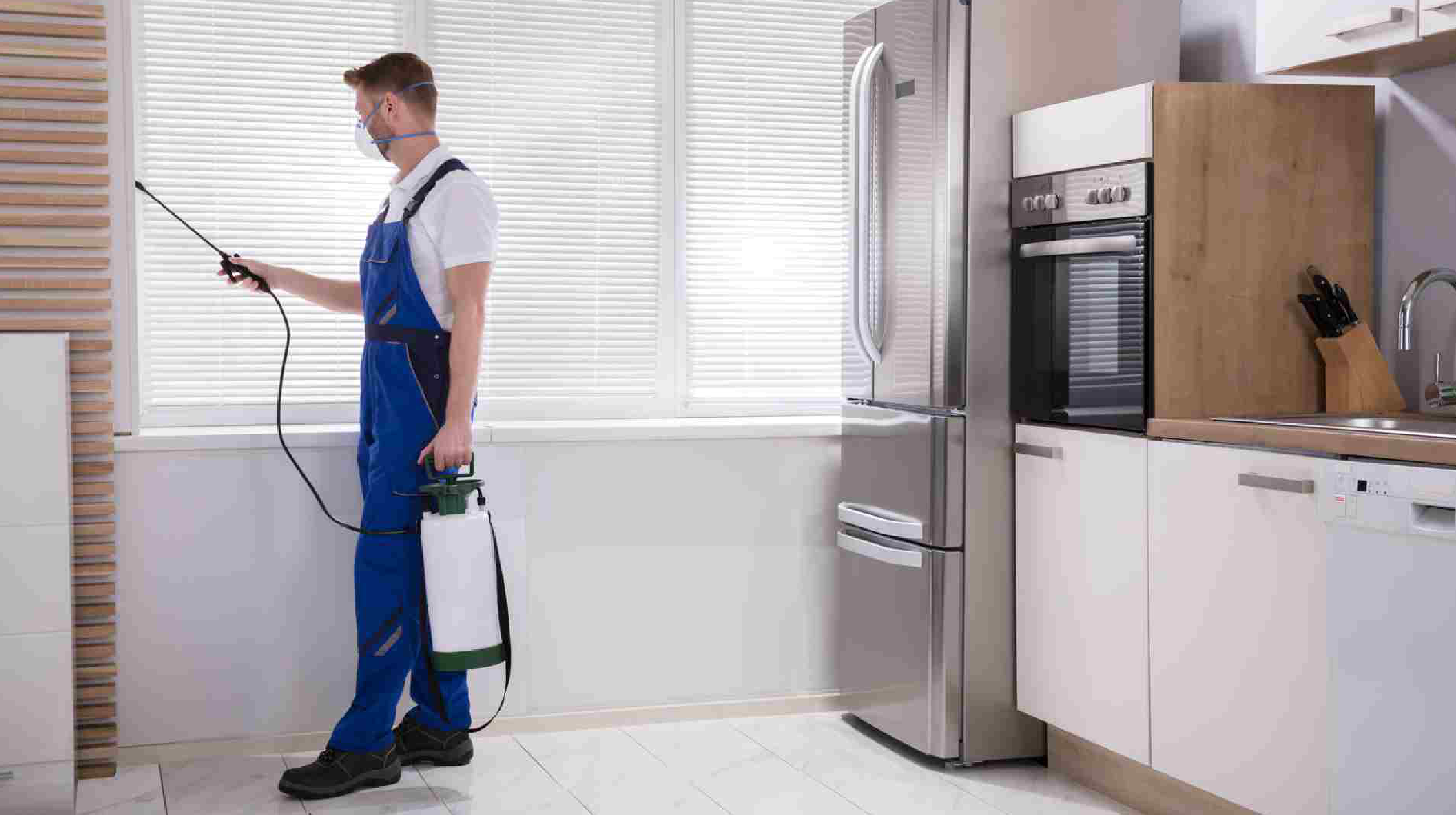 expertbeeextermination